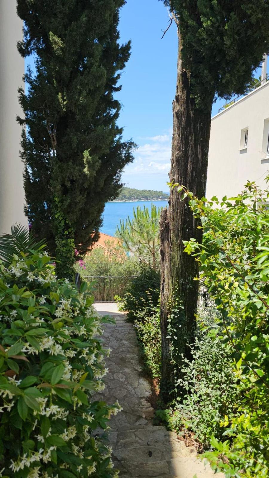 Residence Alpha Apartments Cavtat Esterno foto