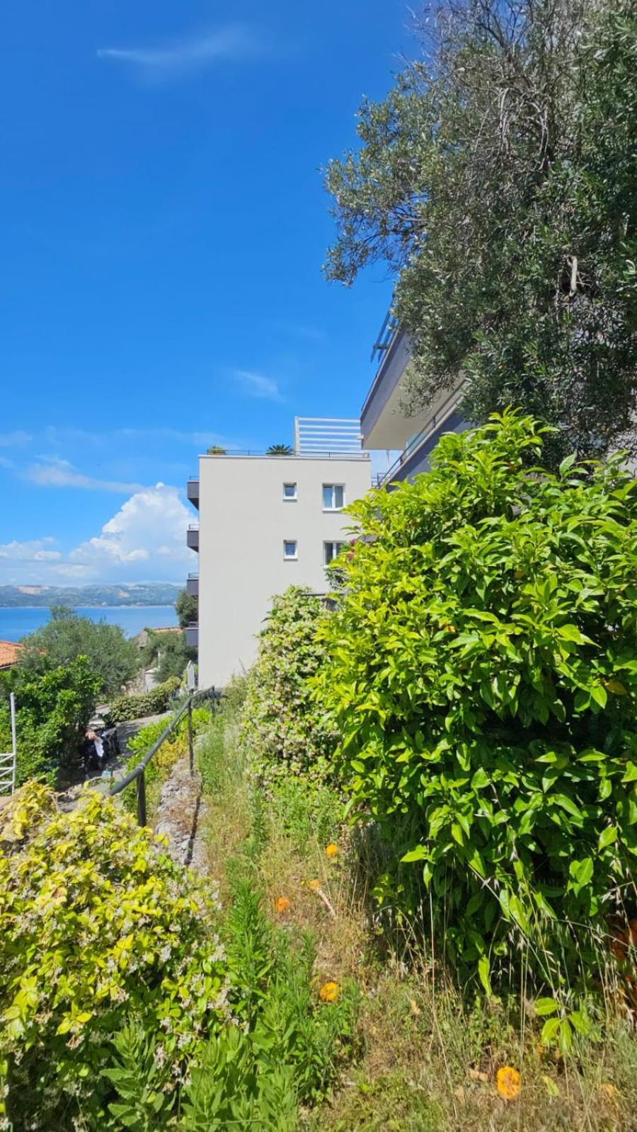 Residence Alpha Apartments Cavtat Esterno foto